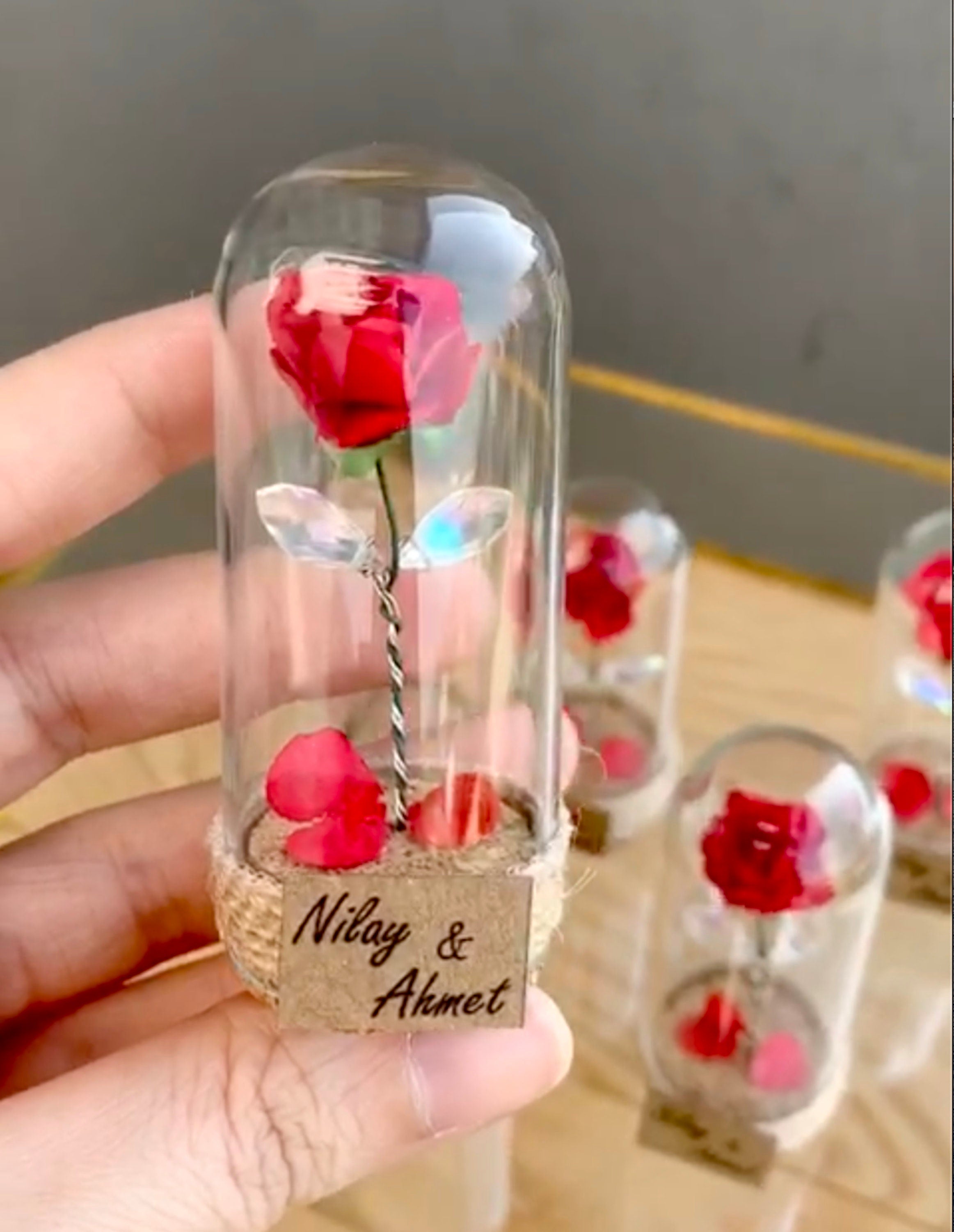 Beauty And The Beast Enchanted Rose with Fallen Petals In Mini Glass Dome Wedding Favor 10 PCS