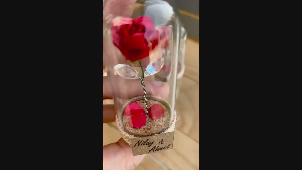 Beauty And The Beast Enchanted  Rose with Fallen Petals In Mini Glass Dome Wedding Favor 10 PCS