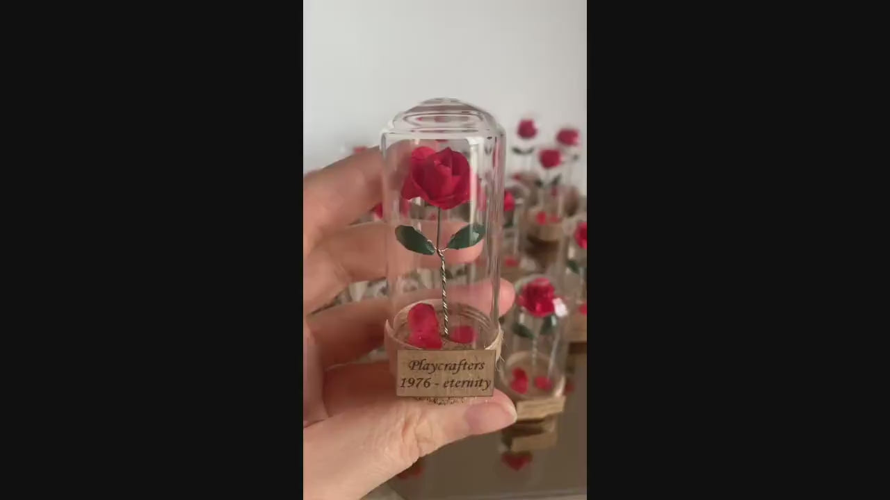 10 Pcs BEAUTY and the BEAST ROSE with fallen red petals in glass dome . Personalized Wedding Favor . Enchanted Rose with Tinsel Mini Glass